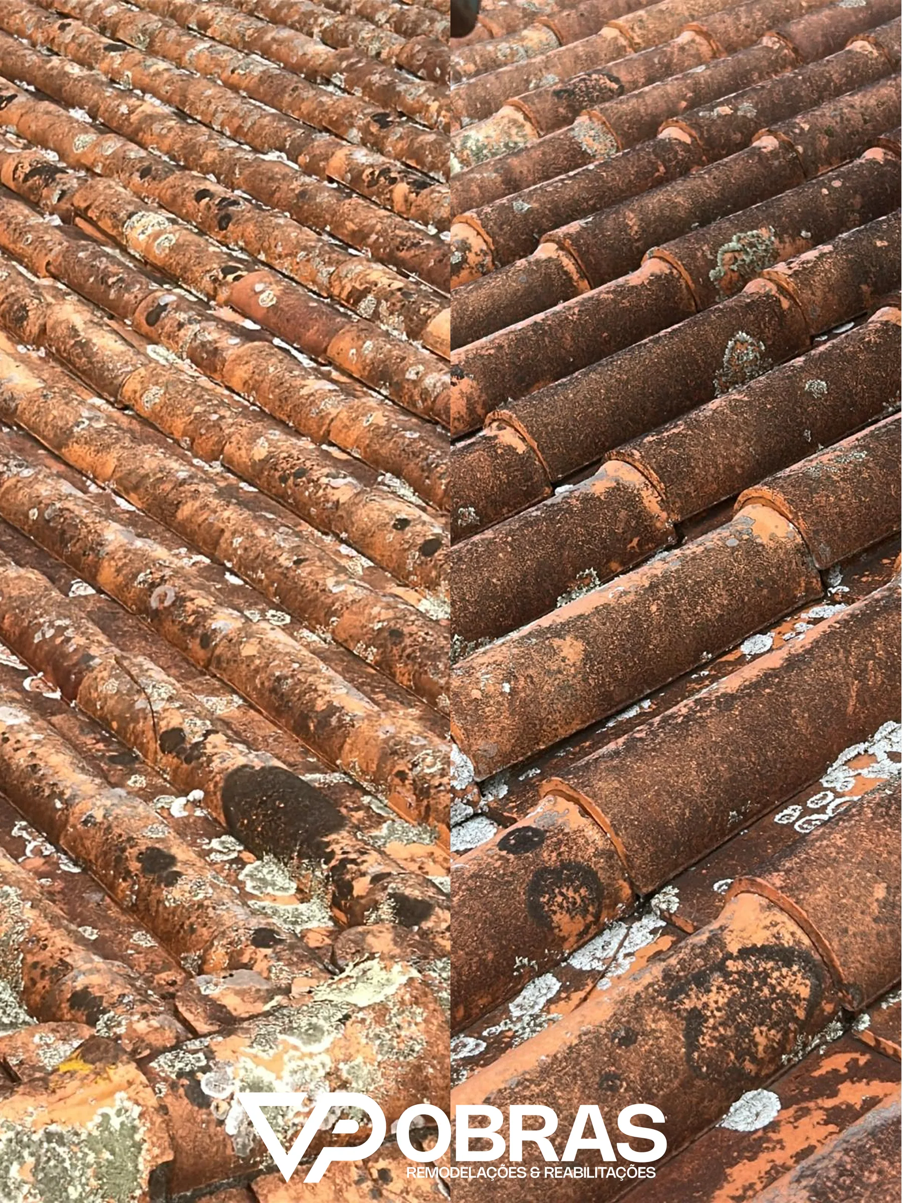 Antes e depois em pormenor: telha com manchas negras e líquenes à direita, telha lavada à esquerda, telhado em Alquerubim