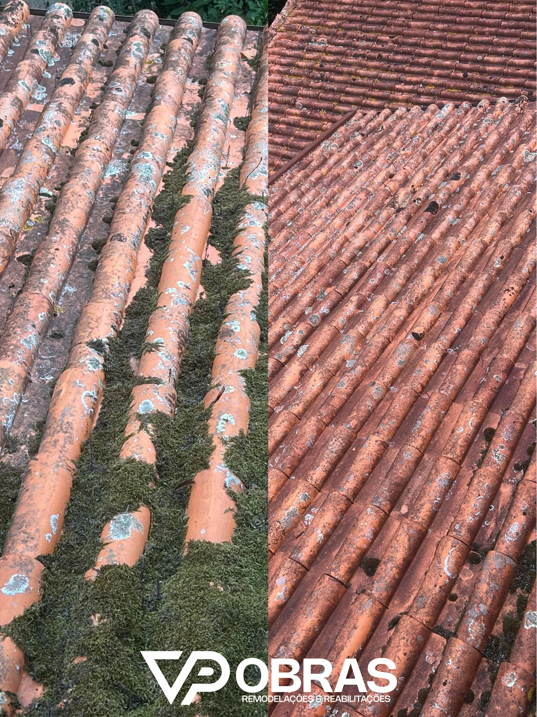 Antes e depois da remoção de musgo entre as telhas de canudo, telhado em Alquerubim, Albergaria-a-Velha